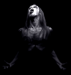 Taake