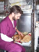 What is a Veterinary Assistant by Joseph Koza