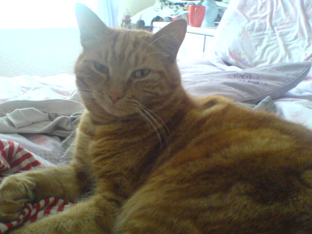 littlesue
