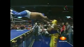 Blue Panther vs. Villano V