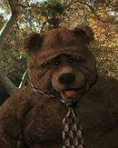 Bobo the Bear