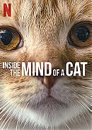 Inside the Mind of a Cat