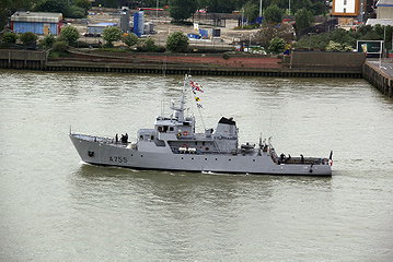 FS Lion A755
