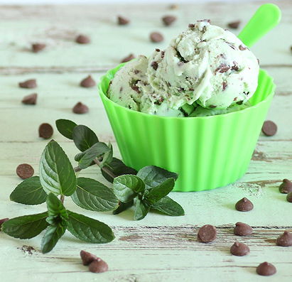 Mint Chocolate Chip Ice Cream