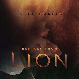 Remixes from Lion (Limited Edition)