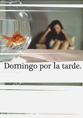 Domingo por la Tarde