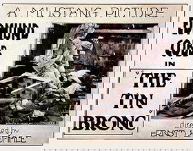 The Tin Bronc
