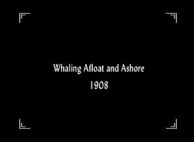 Whaling Afloat and Ashore