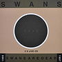 Swans Are Dead