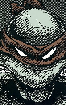 TMNT Collected Book Volume One