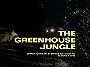 Columbo: The Greenhouse Jungle