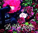7th Rose