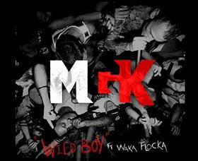 Wild Boy [Explicit]