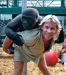 Steve Irwin
