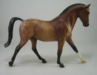 Breyer Classic Keen Appaloosa Sporthorse is in your collection!