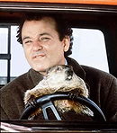 Phil Connors