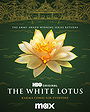 The White Lotus