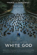 White God