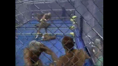 Sting, Ricky Steamboat, Barry Windham, Nikita Koloff & Dustin Rhodes vs. Steve Austin, Rick Rude, Arn Anderson, Bobby Eaton & Larry Zbyszko (WCW, Wrestlewar 1992)