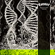 Dissonance Theory