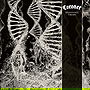 Dissonance Theory