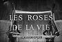 Les roses de la vie