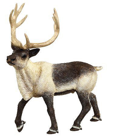 Safari Ltd Wild Safari North American Wildlife Reindeer