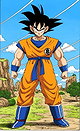 Son Goku / Kakarot
