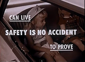 Safety Belt for Susie