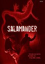 Salamander (2012-2018)
