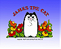 James the Cat