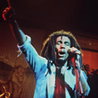 Nesta!!