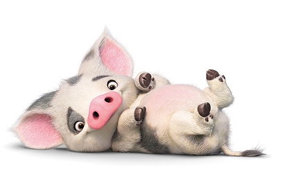 Pua