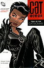 Catwoman Vol. 1: Trail of the Catwoman