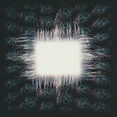 Ænima 