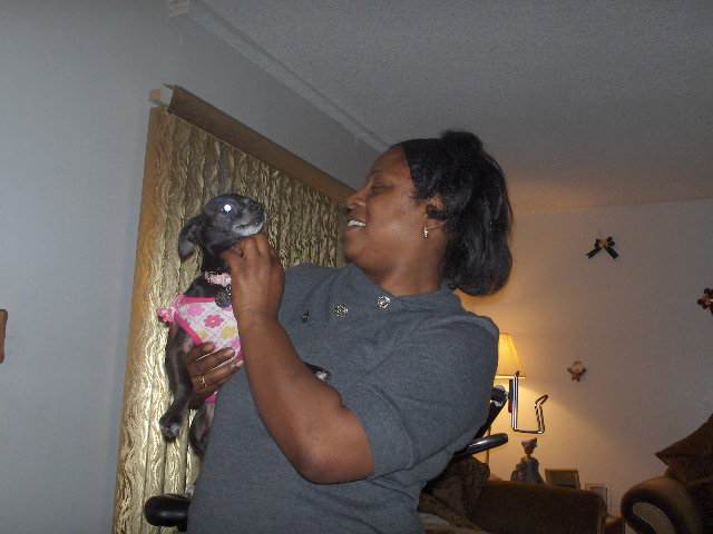 ereshia