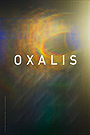 Oxalis                                  (2018)