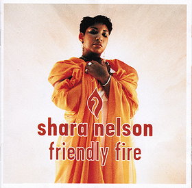 Friendly Fire (1995)