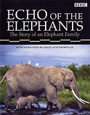 Echo of the Elephants