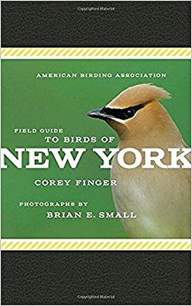 American Birding Association Field Guide to Birds of New York (American Birding Association State Field)