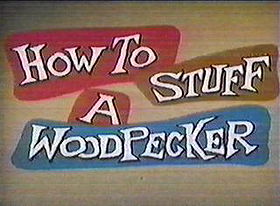 How to Stuff a Woodpecker