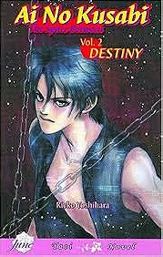 Ai No Kusabi: The Space Between Volume 2: Destiny (Yaoi Novel)