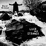 Luck and Strange, Studio album by David Gilmour