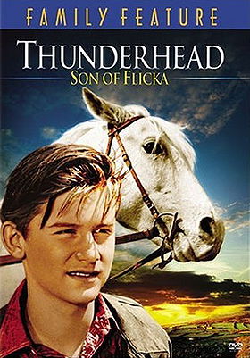 Thunderhead: Son of Flicka