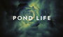 Pond Life                                  (2012-2012)