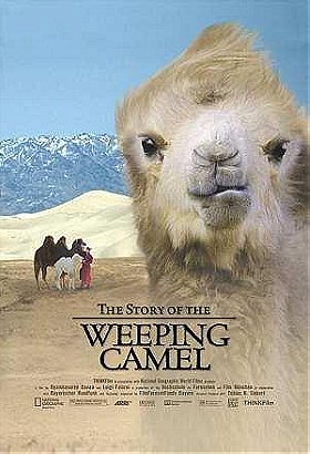 The Story of the Weeping Camel (2003)