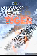 Russia's Wild Tiger
