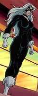 Felicia Hardy (Spider-Man The Animated Series)