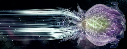 möbius