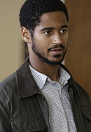 Wes Gibbins